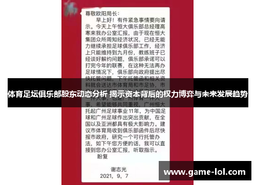 体育足坛俱乐部股东动态分析 揭示资本背后的权力博弈与未来发展趋势