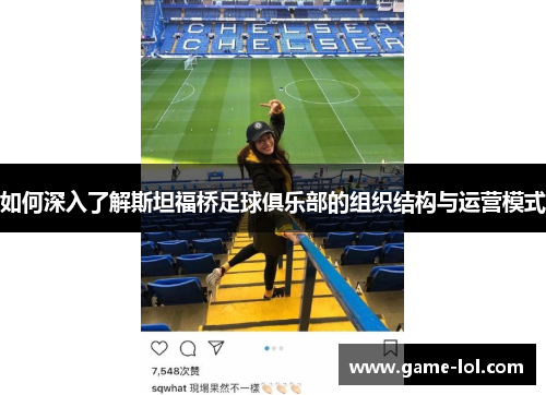 如何深入了解斯坦福桥足球俱乐部的组织结构与运营模式