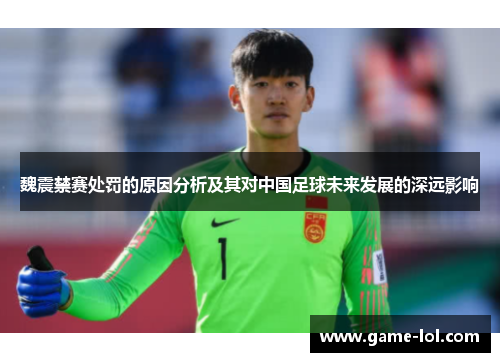 魏震禁赛处罚的原因分析及其对中国足球未来发展的深远影响